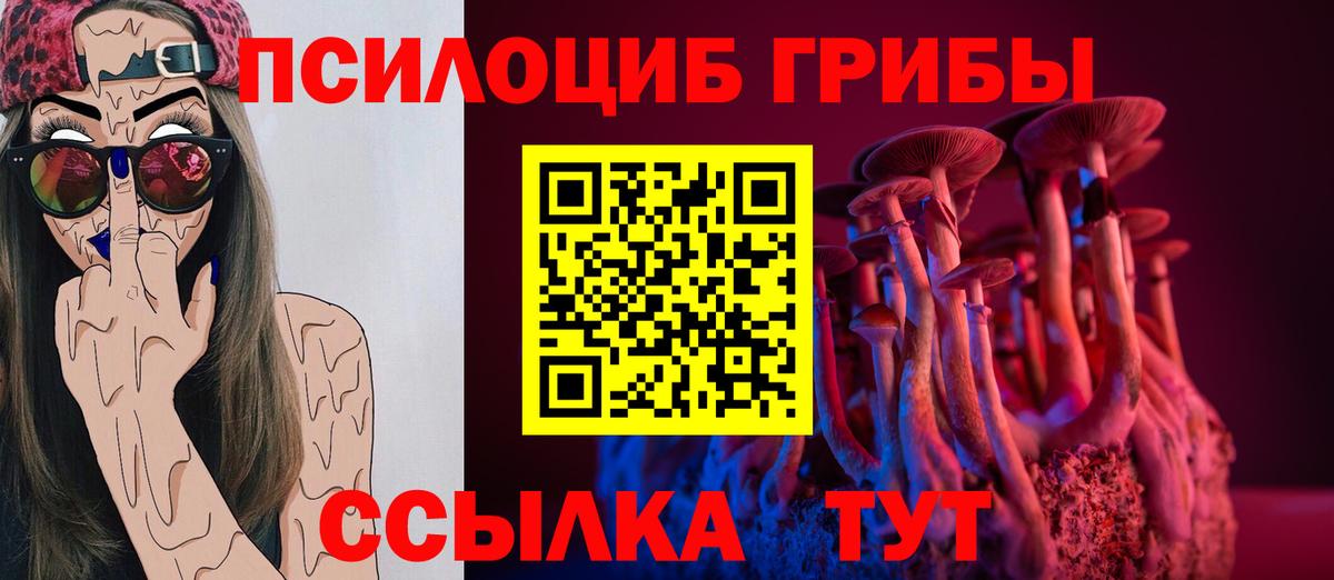 Псилоцибиновые грибы Cubensis Киселёвск