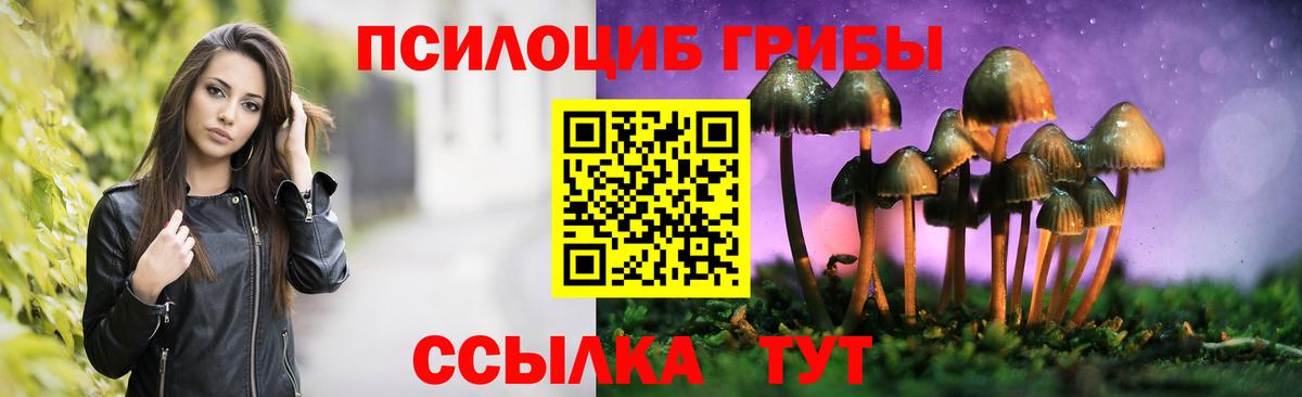 Псилоцибиновые грибы мицелий  Вход с VPN  Киселёвск 